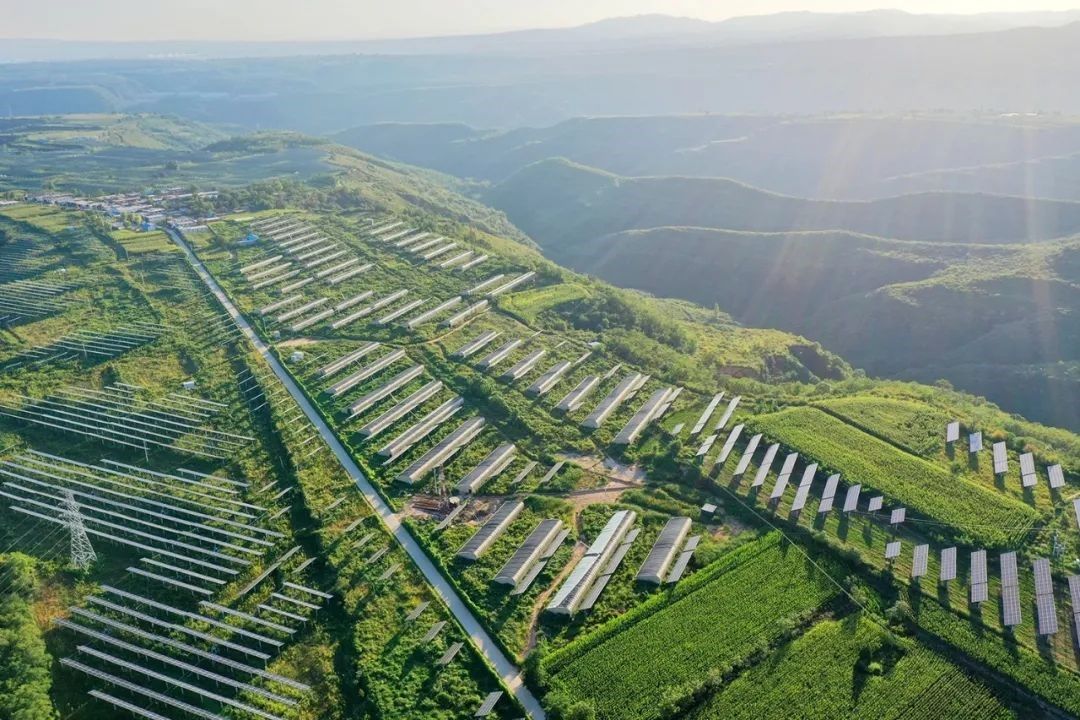 LONGi’s ‘Photovoltaic + Agriculture’ project in Tongchuan, previously selected as one of the United Nations SDG Good Practices.