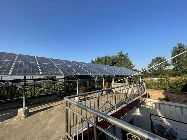 隆基股份-西部网丨既能发电又有收益 隆基分布式光伏电站获青睐